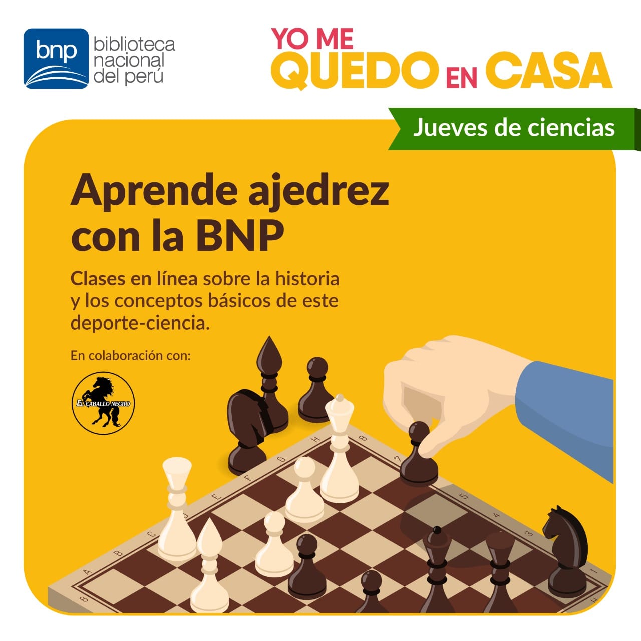 Biblioteca Nacional de Perú ofrece virtuales y ajedrez durante aislamiento social | Biblioteca Nacional del Perú BNP